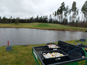 Golfpallot odottavat noutajaansa