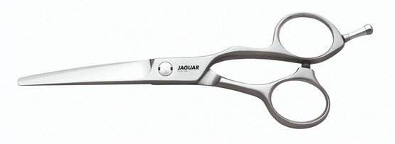 Jaguar Xenox 5,5