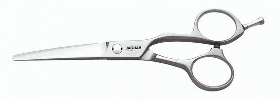 Jaguar Xenox 6,0