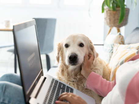 Eroahdistuksen ratkaisun luentotallenteet