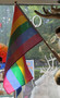 Lippu Pride sateenkaarilippu 29x45cm kantatut reunat puuvarsi 60cm