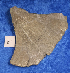 Markasiitti pala pyriittiaurinkoa 53g E1