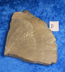 Markasiitti, pala pyriittiaurinkoa 63g D1
