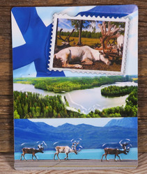 Magneetti maisemia ja poroja, Suomen lippu, 8x6cm kohokuviot