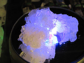 Kiteiden kasvattaminen kotona