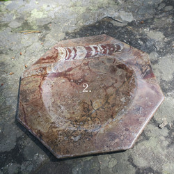 Lautanen fossiililautanen ammoniitteja ja oikosarvia, 8-kulmainen 19cm