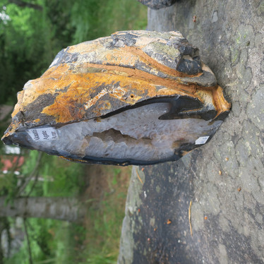 Akaattigeodi iso 3,8kg korkeus 21cm nro 61G
