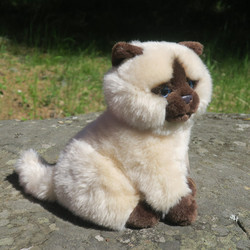 Pehmolelu kissa beige, jolla ruskea naama korvat ja tassut istuva 20cm