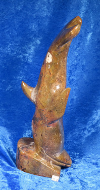 Fossiiliveistos goniatiitti DELFIINI  1360g