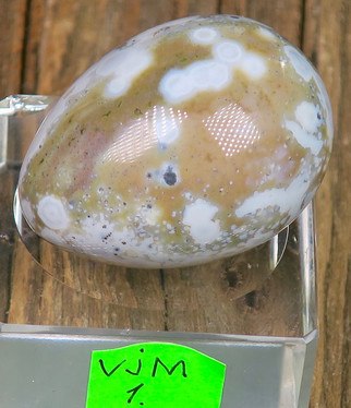 Kivimuna Valtamerijaspis n.35mm muna nro 1-4 Madagaskar