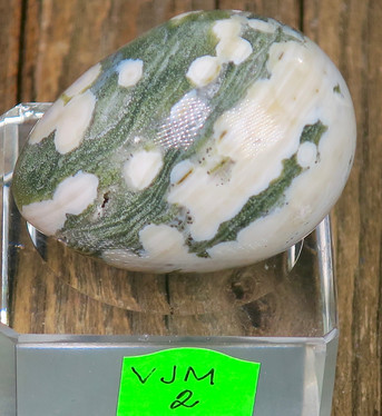 Kivimuna Valtamerijaspis n.35mm muna nro 1-4 Madagaskar