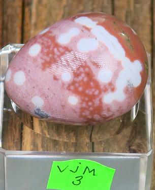 Kivimuna valtamerijaspis n.35mm muna nro 1-4 Madagaskar
