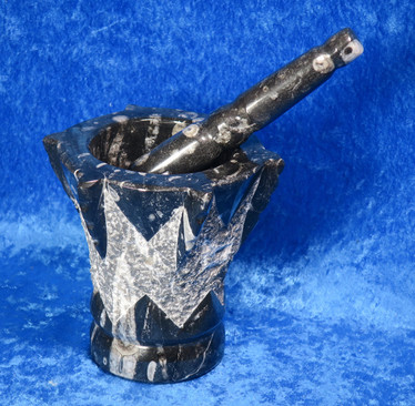 Fossiilimortteli, korkeus 12cm, osittain hiottu