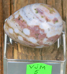 Kivimuna Valtamerijaspis n.35mm muna nro 5-7 Madagaskar