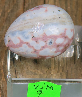 Kivimuna Valtamerijaspis n.35mm muna nro 5-7 Madagaskar