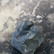 Fossiili simpukka 30mm, kivi 45mm, paino 100g