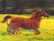 3D-juliste hevoset. Emä ja varsa juoksee pellolla. Iso 58x38cm