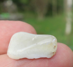 Opaali valkoinen rumpuhiottu 4,4g