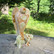 Onyksmarmori enkeli vaaleanvihreän ja ruskean raidallinen 115g 77mm 