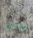 Korvakorut fluoriittitähti vihreä, 4mm violetti, hopeaosat 8s7