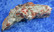 Villiomiitti raaka 107g 9cm