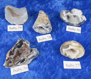 Akaattigeodi Brasilia paino 7-8g nro baby26-30
