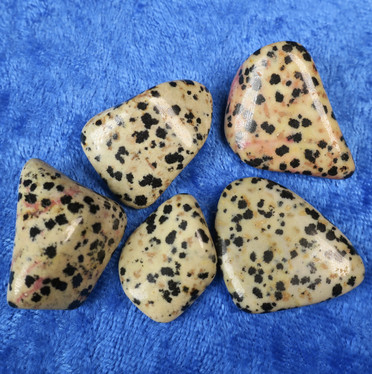 Dalmatianjaspis rumpuhiottu. Valitse koko ja hinta.