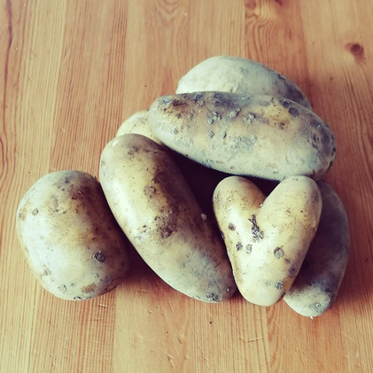 Ruokaperuna 3kg (yleisperuna Gala)