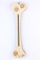 Bone-tube squeezer