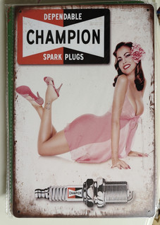 Peltikyltti Champion Spark Plugs
