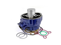 Carenzi sylinterisarja 50cc, Minarelli AM6