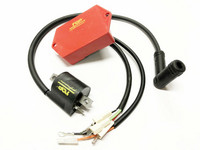Top Performance Racing sytytyspuola/CDI (Ducati), Minarelli AM6