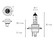 H4 polttimo 12V/60-55W