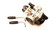 Motoforce PHBN 17.5mm kaasutin