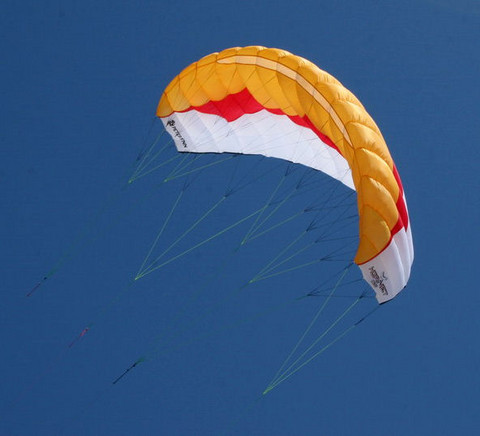 Hornet 5.0 (ready-to-fly)