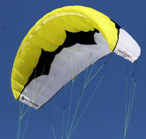 Hornet 6.0 (ready-to-fly)