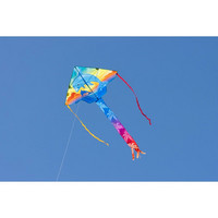 Simple Flyer Dolphin 120cm