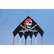 Delta Jolly Roger