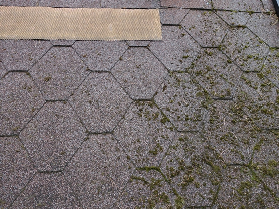 SammalNauha 15 cm - Sammaleen poisto katolta