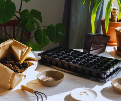 pöydällä tarvikkeita siementen kylvöön, multaa ja kasvatusastia