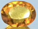 Meripihka / Amber