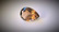 savukvartsi pisara 20mm / 14,5ct