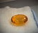 Burmalainen luonnollinen harvinaisuus 100milj. vuotta vanha viistehiottu Burmite / meripihka (amber )