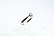 18ct valkokultainen kirkas timanttisormus 0,09ct / 2,9mm