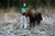 W-HEALING hoitava loimi poneille  (koko 95cm)