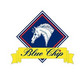 Blue Chip ORIGINAL 15kg