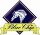 Blue Chip Garliq -Orgaaninen valkosipuli