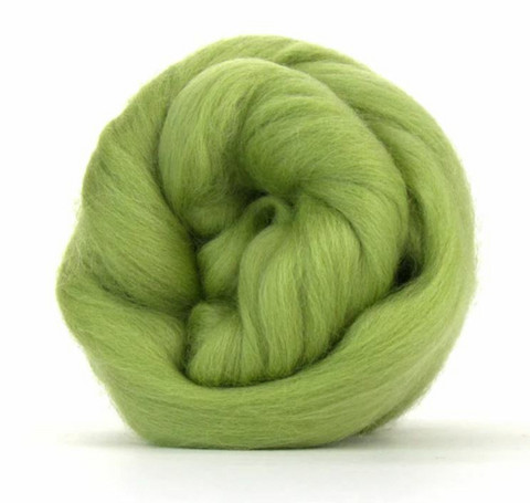 Salvia 23 mic