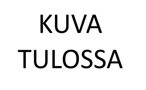 Villaviskoosi kangas, PUNAINEN