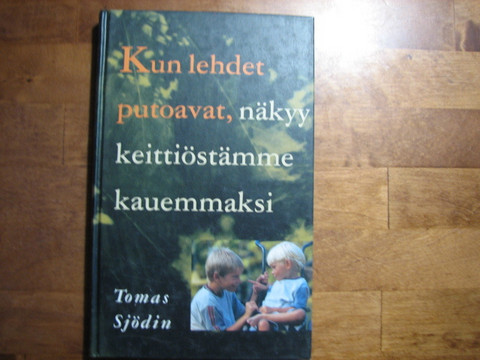 Kun lehdet putoavat, näkyy keittiöstämme kauemmaksi, Tomas Sjödin